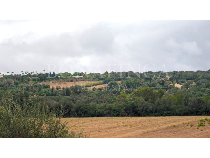 Mark till salu i Manacor - 374 000 € (Ref: 7811929)