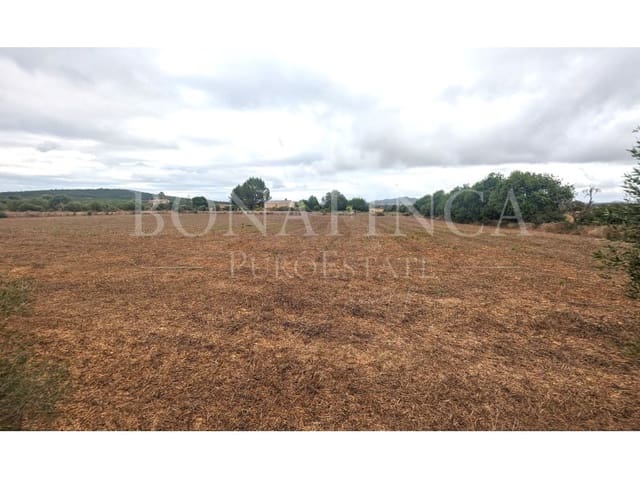Undeveloped Land for sale in Manacor - € 374,000 (Ref: 7811929)