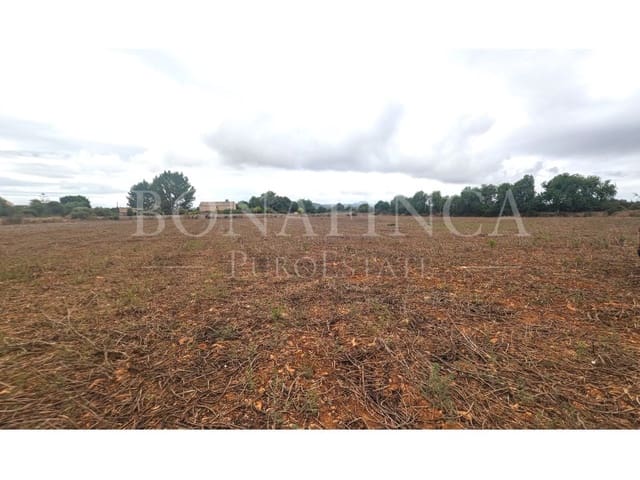 Undeveloped Land for sale in Manacor - € 374,000 (Ref: 7811929)