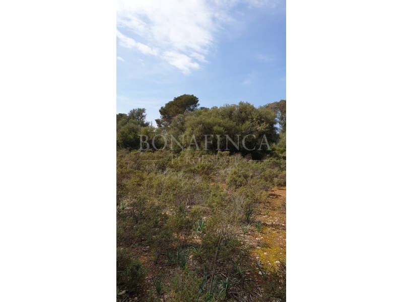 Grond te koop in Llucmajor - € 980.000 (Ref: 7830581)