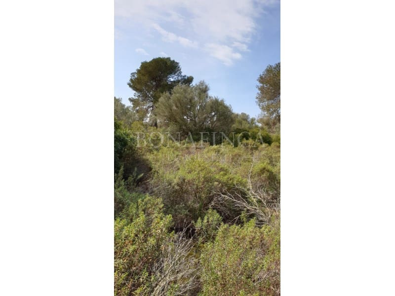 Grond te koop in Llucmajor - € 980.000 (Ref: 7830581)