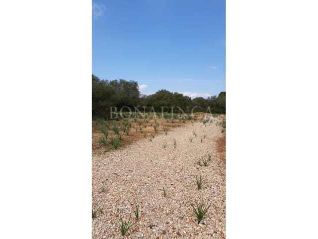 Undeveloped Land for sale in Llucmajor - € 980,000 (Ref: 7830581)