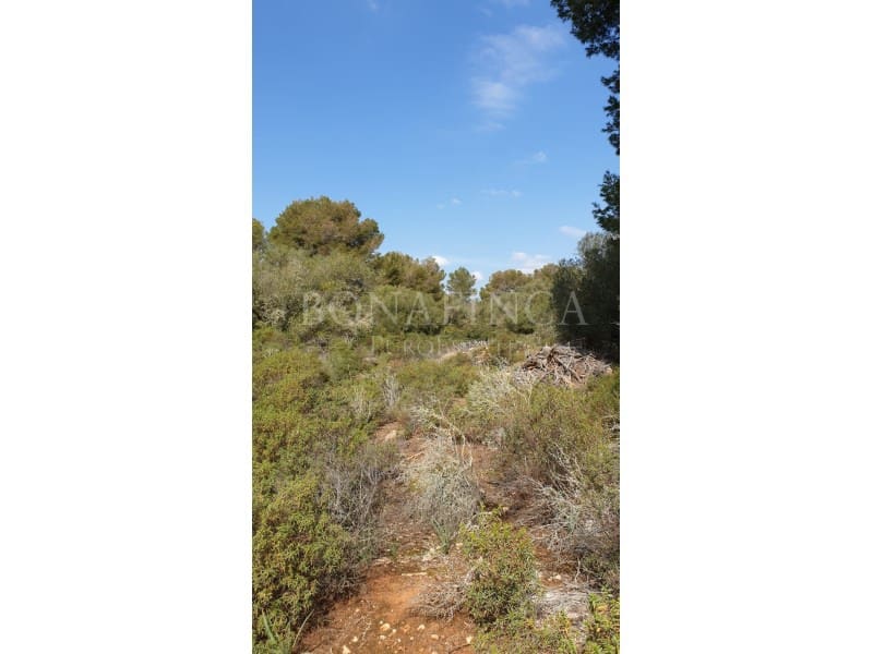 Grond te koop in Llucmajor - € 980.000 (Ref: 7830581)