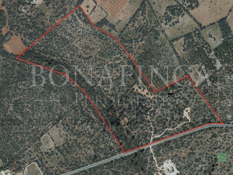 Grond te koop in Llucmajor - € 980.000 (Ref: 7830581)