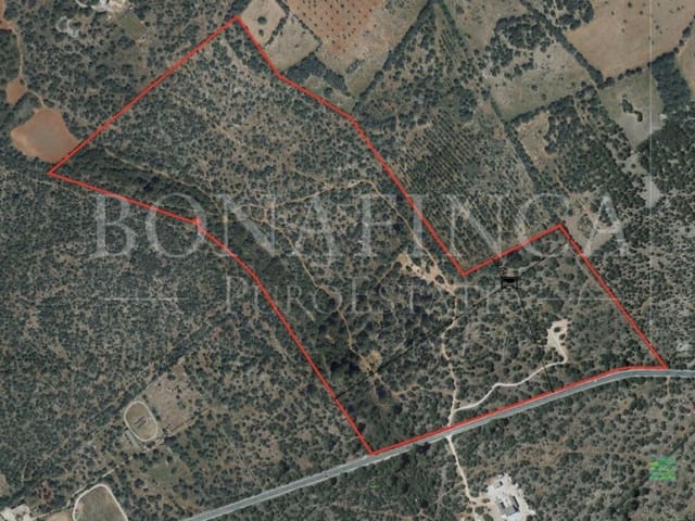 Undeveloped Land for sale in Llucmajor - € 980,000 (Ref: 7830581)