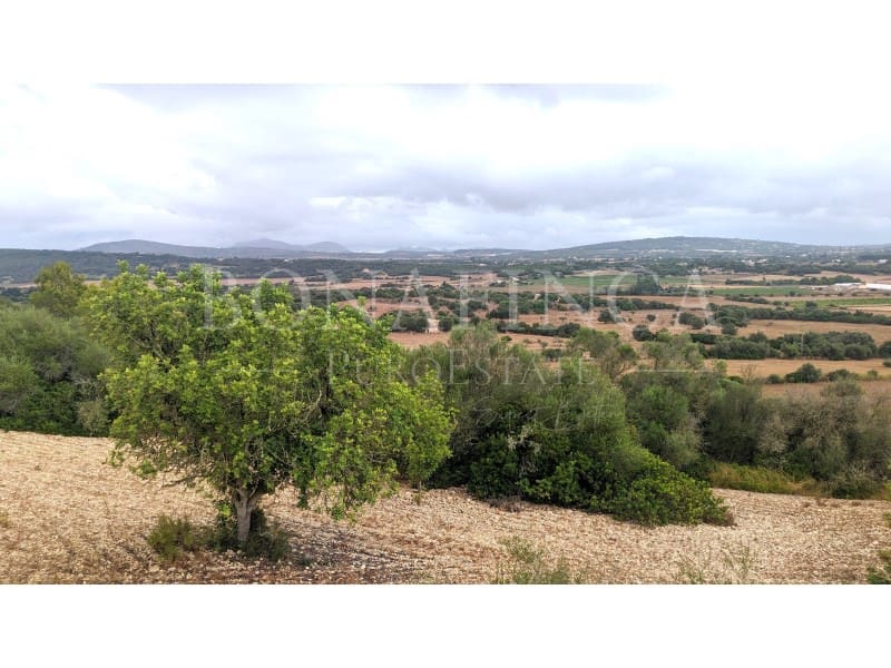 Ubebygd land til salgs i Manacor - € 1 072 000 (Ref: 7834909)