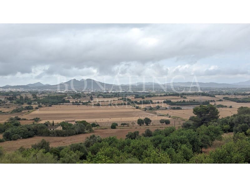 Ubebygd land til salgs i Manacor - € 1 072 000 (Ref: 7834909)