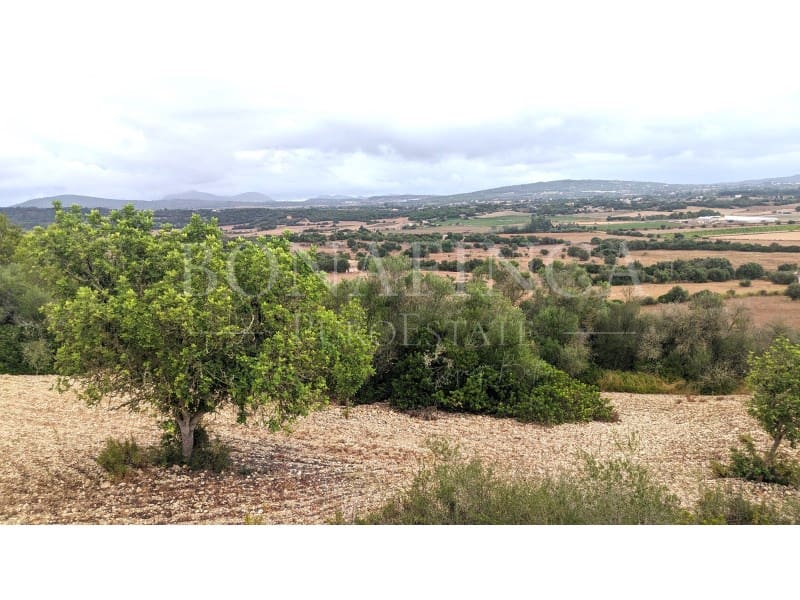 Ubebygd land til salgs i Manacor - € 1 072 000 (Ref: 7834909)