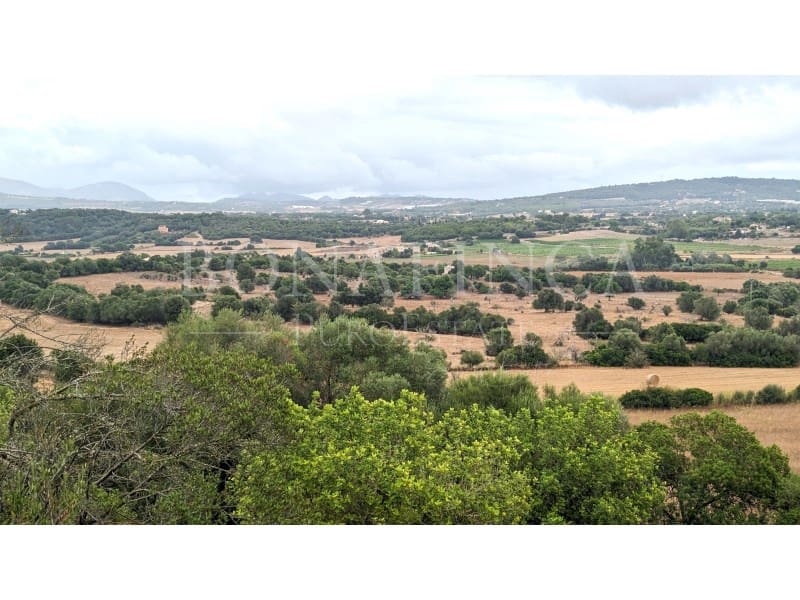 Ubebygd land til salgs i Manacor - € 1 072 000 (Ref: 7834909)