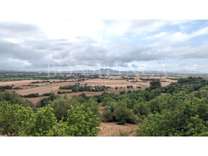 Ubebygd land til salgs i Manacor - € 1 072 000 (Ref: 7834909)