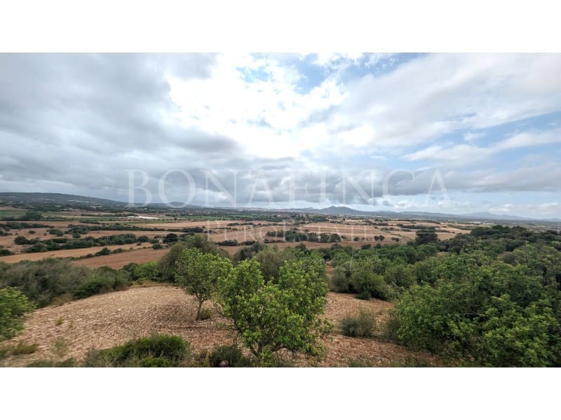 Ubebygd land til salgs i Manacor - € 1 072 000 (Ref: 7834909)