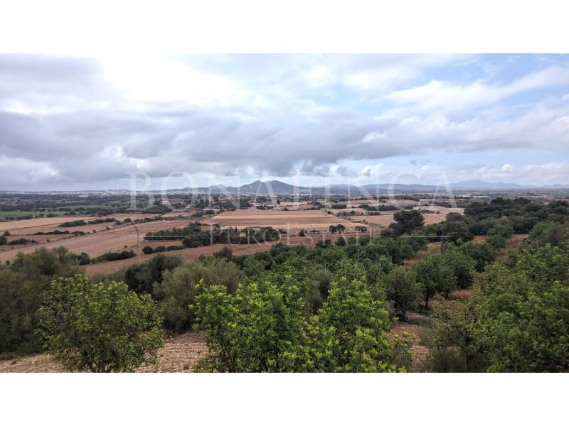 Ubebygd land til salgs i Manacor - € 1 072 000 (Ref: 7834909)