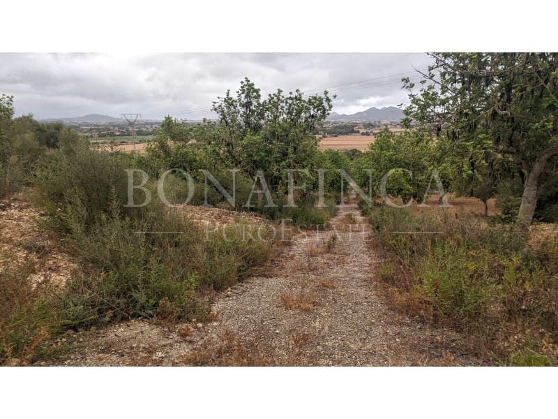 Ubebygd land til salgs i Manacor - € 1 072 000 (Ref: 7834909)