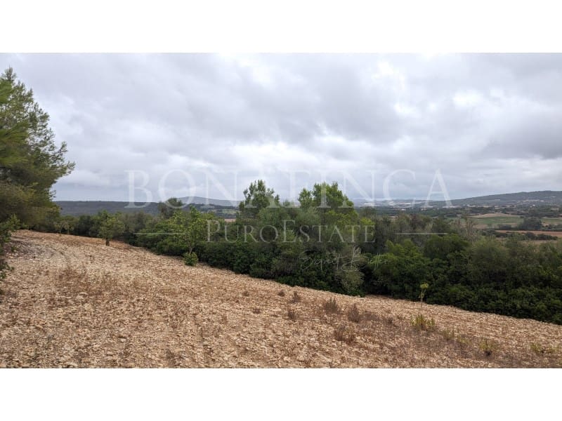 Ubebygd land til salgs i Manacor - € 1 072 000 (Ref: 7834909)