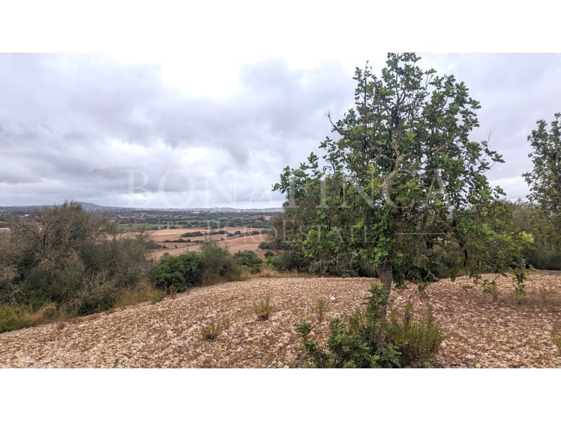 Ubebygd land til salgs i Manacor - € 1 072 000 (Ref: 7834909)