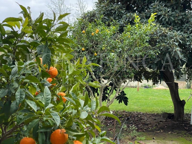 4 chambre Finca/Maison de Campagne à vendre à Sencelles avec piscine garage - 667 000 € (Ref: 7839620)