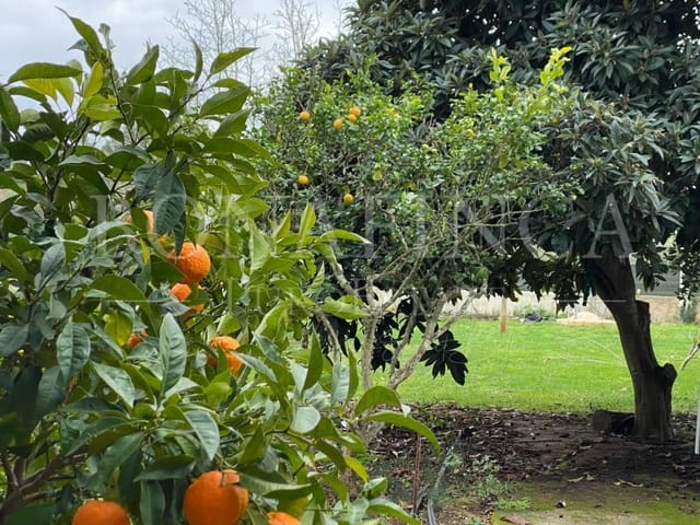 4 chambre Finca/Maison de Campagne à vendre à Sencelles avec piscine garage - 667 000 € (Ref: 7839620)