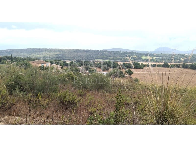 Grond te koop in Manacor - € 1.072.000 (Ref: 7839621)