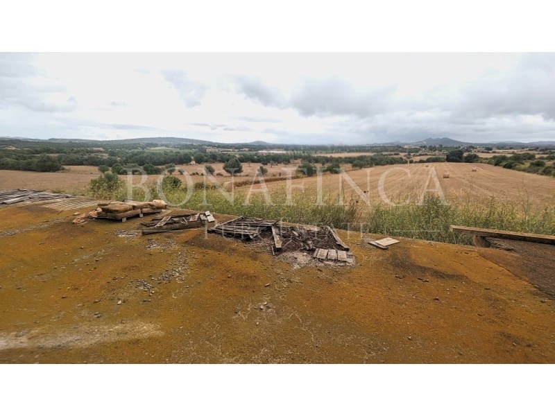 Grond te koop in Manacor - € 1.072.000 (Ref: 7839621)