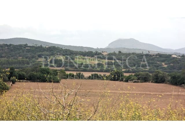 Grond te koop in Manacor - € 1.072.000 (Ref: 7839621)