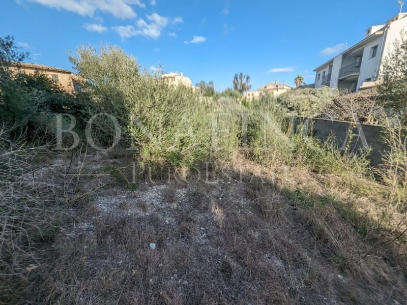 Grunde uden byggetilladelser til salg i Sant Joan - € 129.000 (Ref: 7979666)