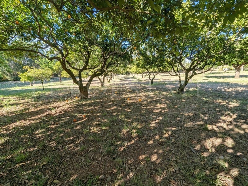 6 soverom Villa til salgs i Manacor med svømmebasseng garasje - € 1 350 000 (Ref: 8366285)