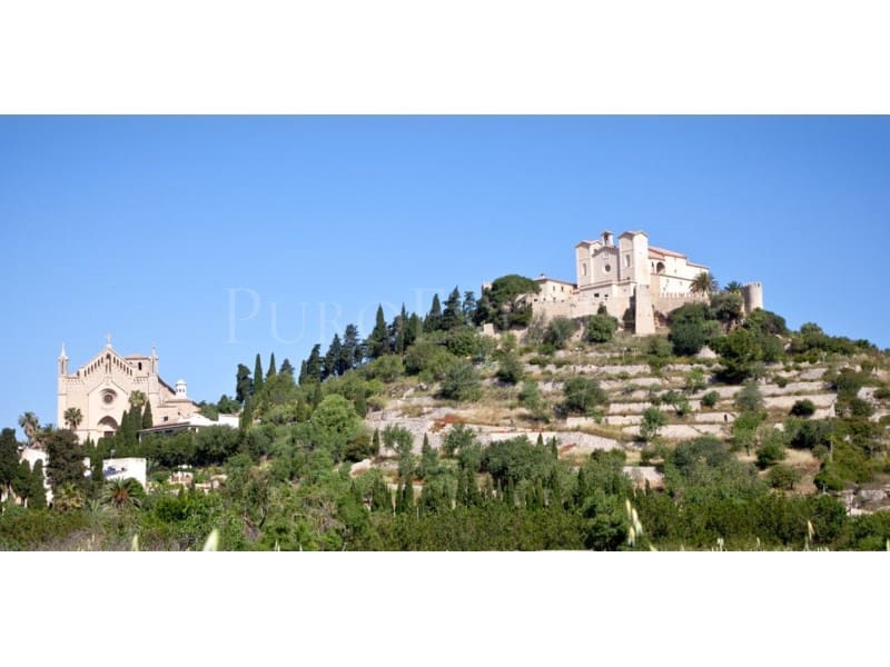 8 soveværelse Hotel til salg i Arta med swimmingpool - € 3.400.000 (Ref: 8389438)