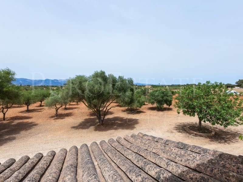 4 slaapkamer Finca/Landhuis te koop in Santa Eugenia met zwembad garage - € 1.490.000 (Ref: 8421628)