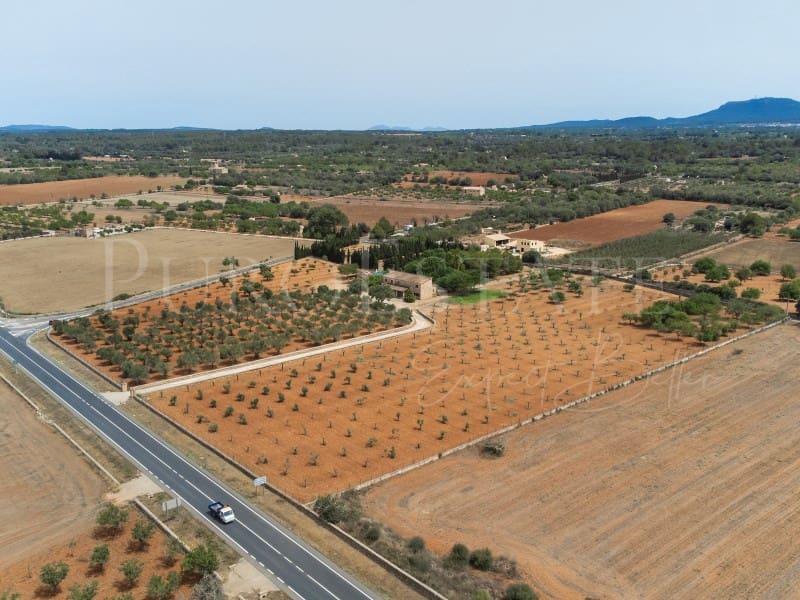 4 slaapkamer Finca/Landhuis te koop in Santa Eugenia met zwembad garage - € 1.490.000 (Ref: 8421628)