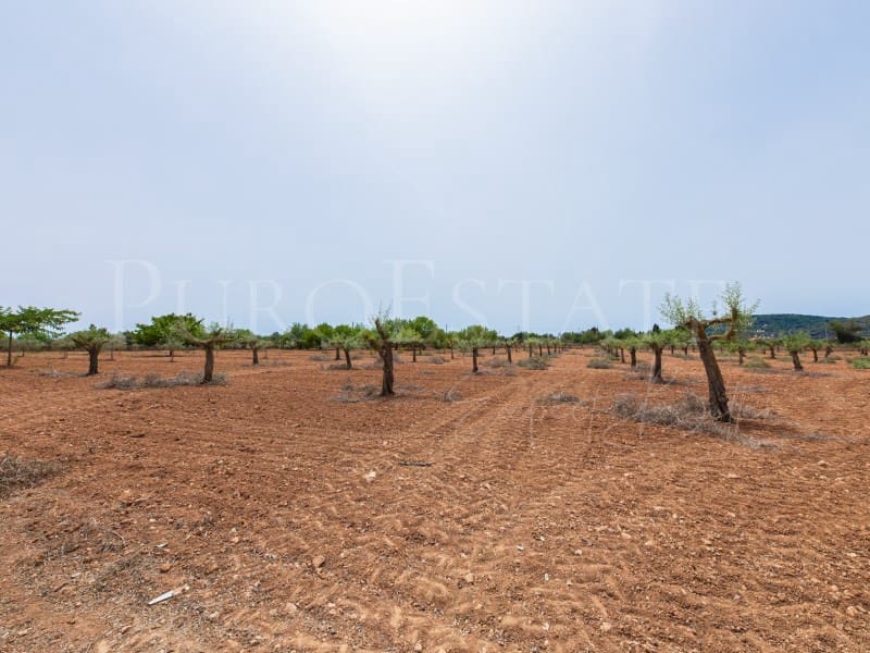 4 slaapkamer Finca/Landhuis te koop in Santa Eugenia met zwembad garage - € 1.490.000 (Ref: 8421628)