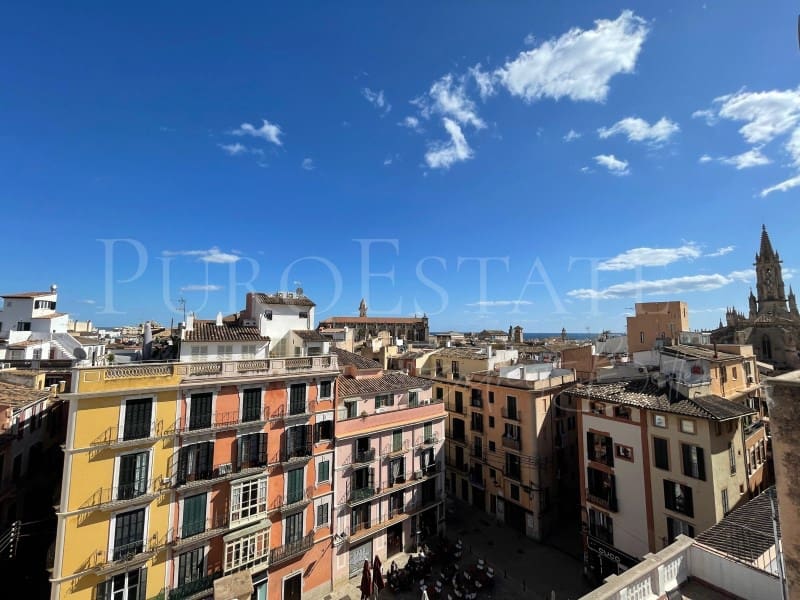 1 camera da letto Appartamento in vendita in Palma de Mallorca - 495.000 € (Rif: 8792897)