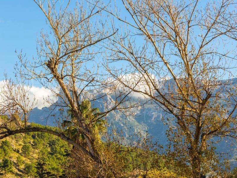 2 sypialnia Mieszkanie na sprzedaż w Puerto de Soller / Port de Soller - 560 000 € (Ref: 8935406)