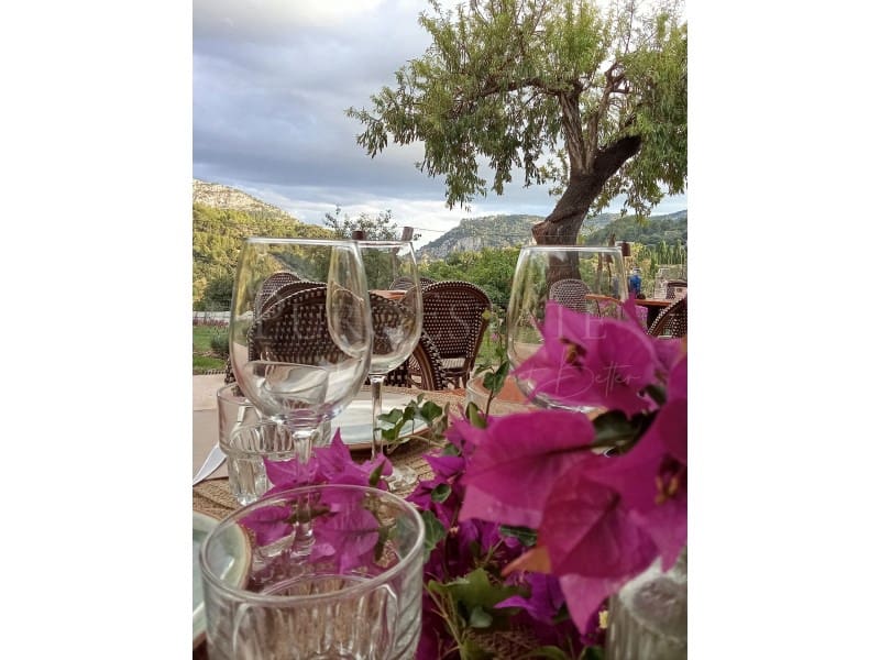 1 bedroom Hotel for rent in Valldemosa with garage - € 10,750 (Ref: 9504767)