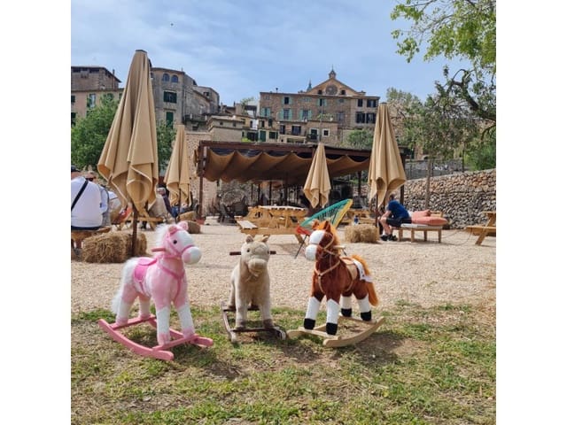 1 sypialnia Hotel do wynajęcia w Valldemosa z garażem - 10 750 € (Ref: 9504767)