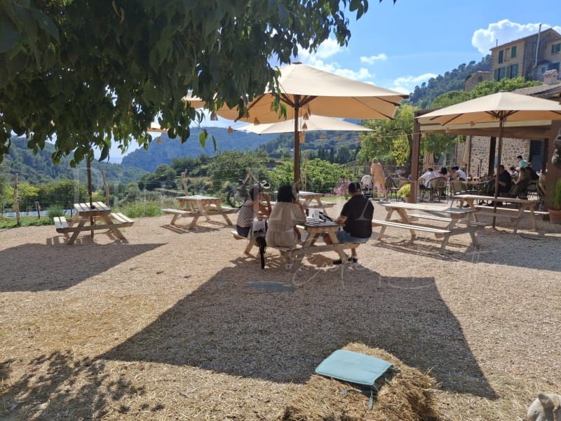 1 bedroom Hotel for rent in Valldemosa with garage - € 10,750 (Ref: 9504767)