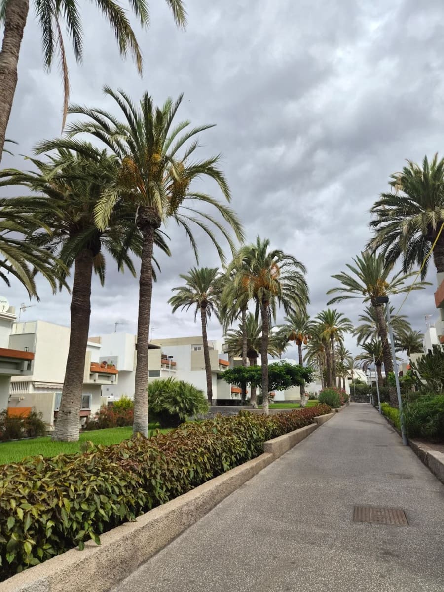 1 quarto Apartamento para venda em Costa del Silencio com piscina - 230 000 € (Ref: 10094257)