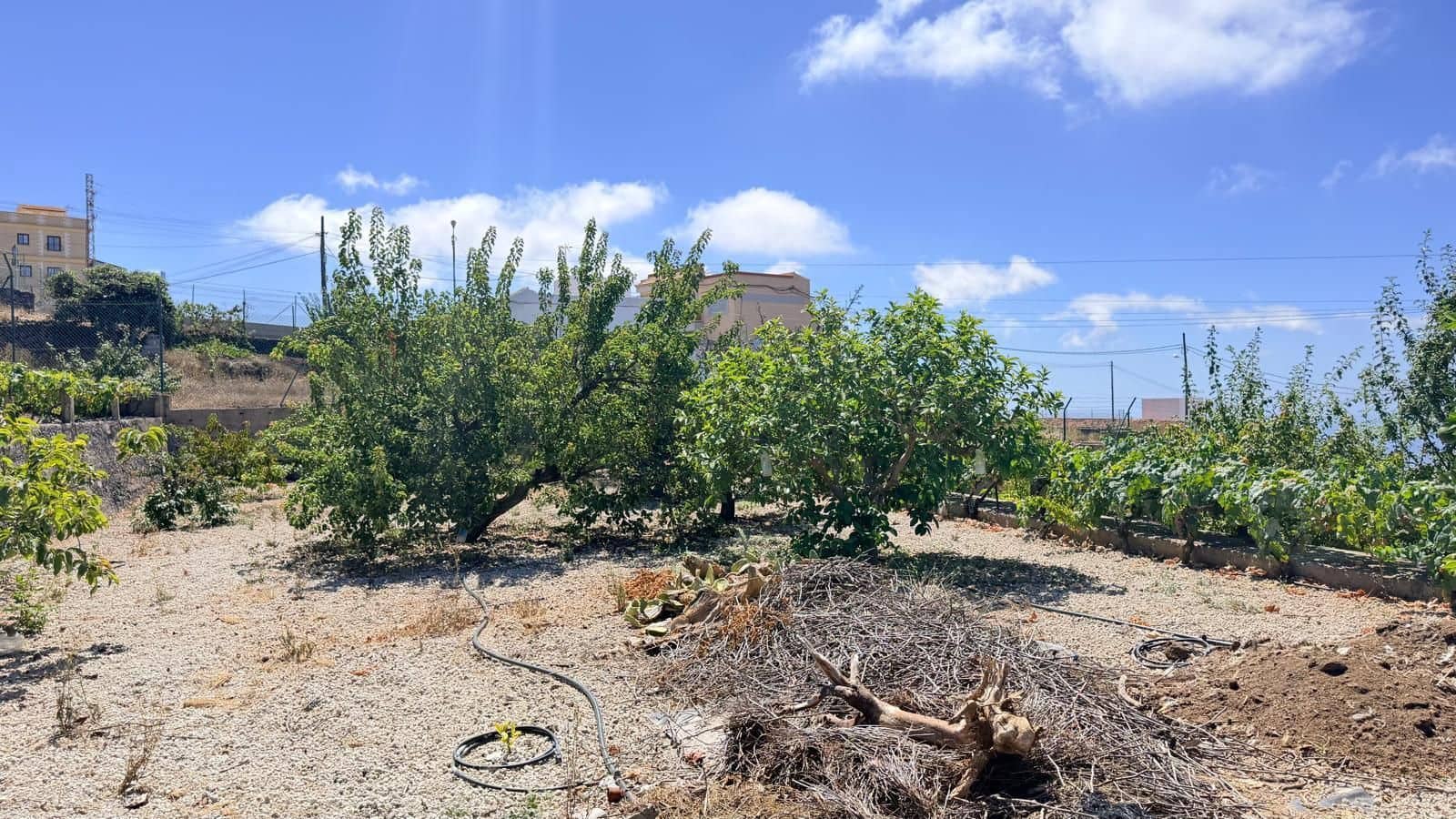 Finca/Casa Rural en Vilaflor en venta con piscina garaje - 1.190.000 € (Ref: 10099714)