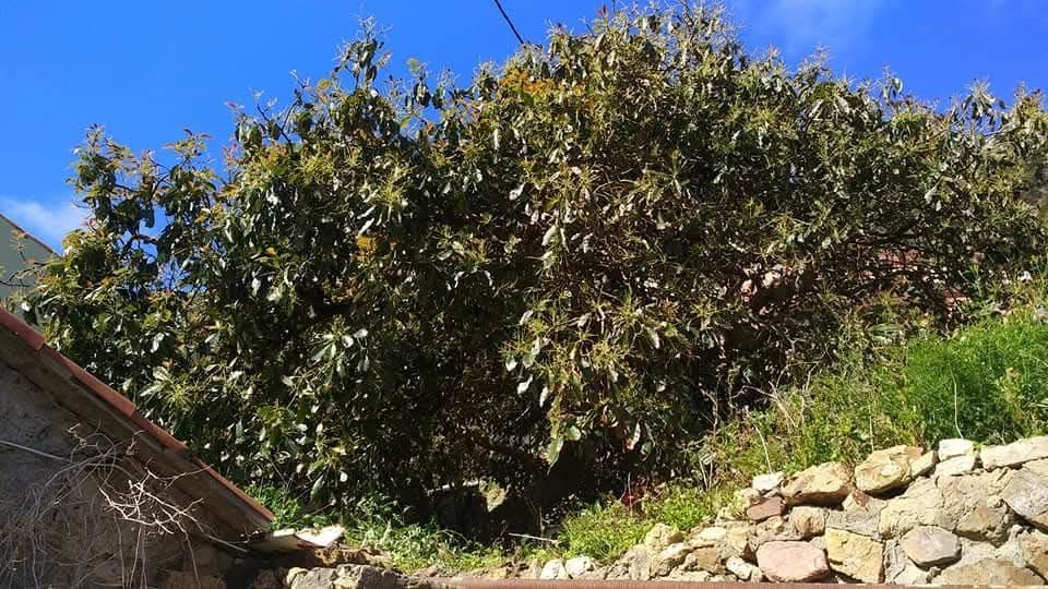 Finca/Herregård til salgs i San Sebastian de la Gomera - € 175 000 (Ref: 10182630)