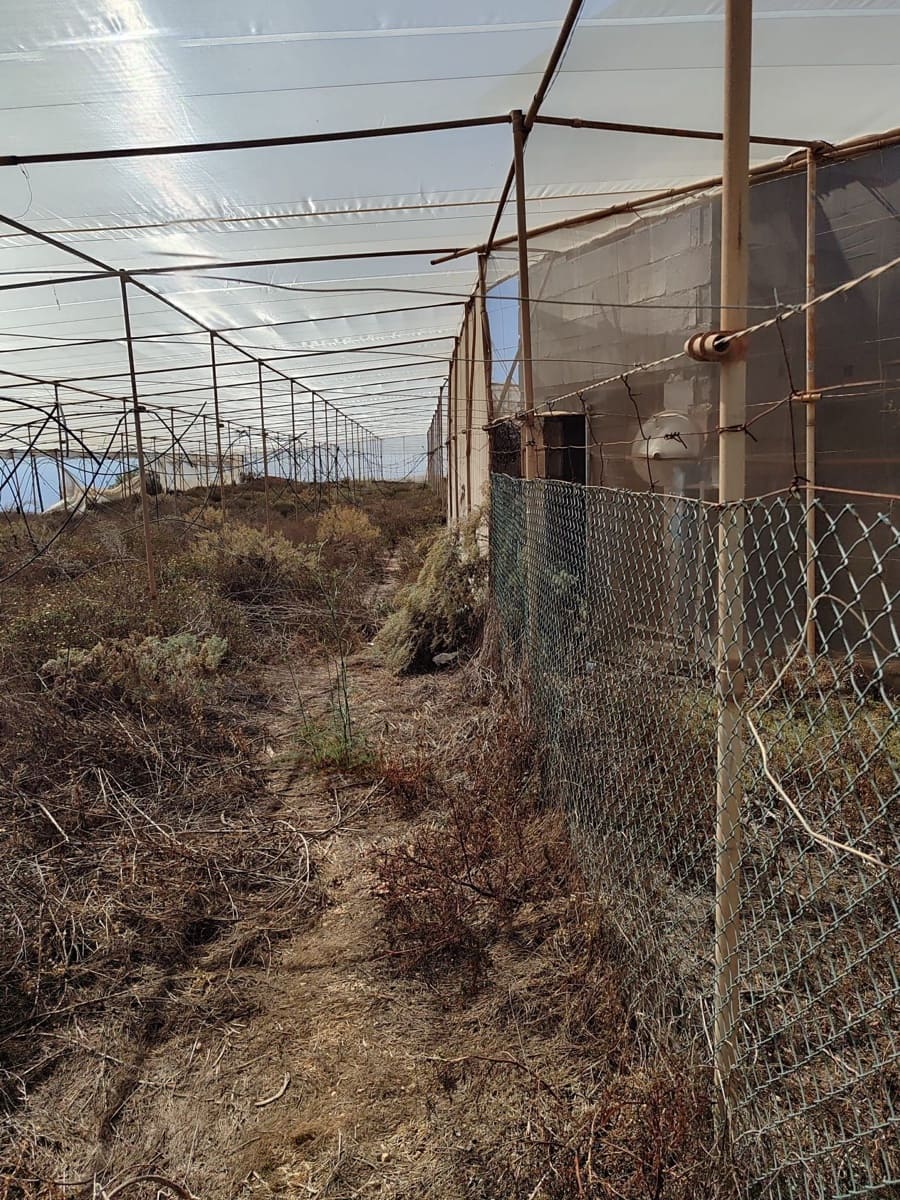 1 bedroom Finca/Country House for sale in Arico - € 110,000 (Ref: 8901986)