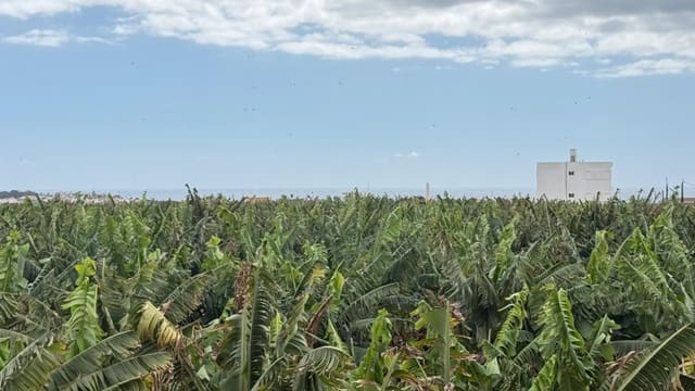 3 soveværelse Lejlighed til leje i Las Rosas, Valverde - € 1.200 (Ref: 9262264)