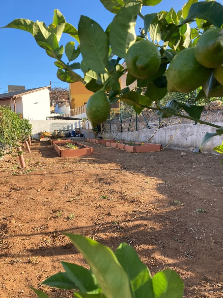 Chalet de 3 habitaciones en Candelaria en venta con piscina garaje - 830.000 € (Ref: 9334443)