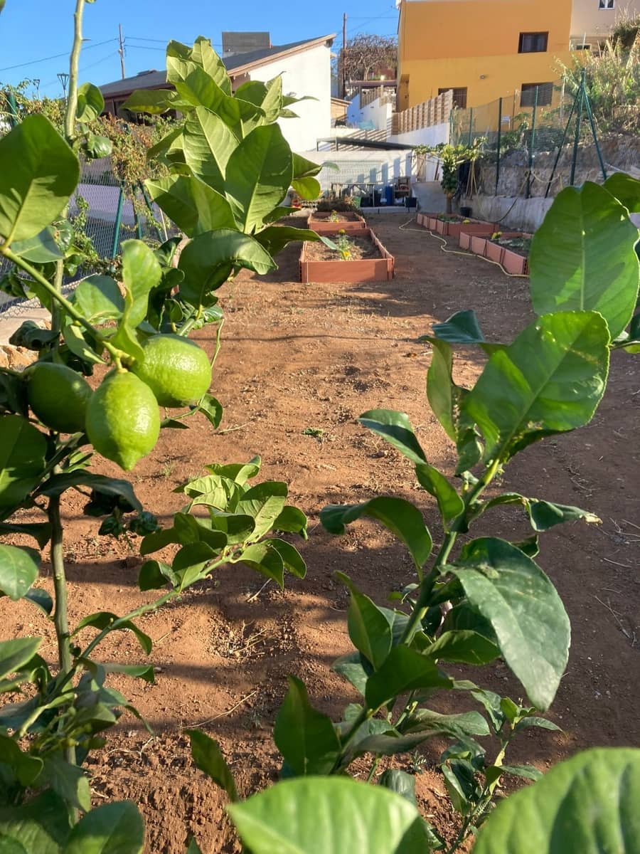 Chalet de 3 habitaciones en Candelaria en venta con piscina garaje - 830.000 € (Ref: 9334443)