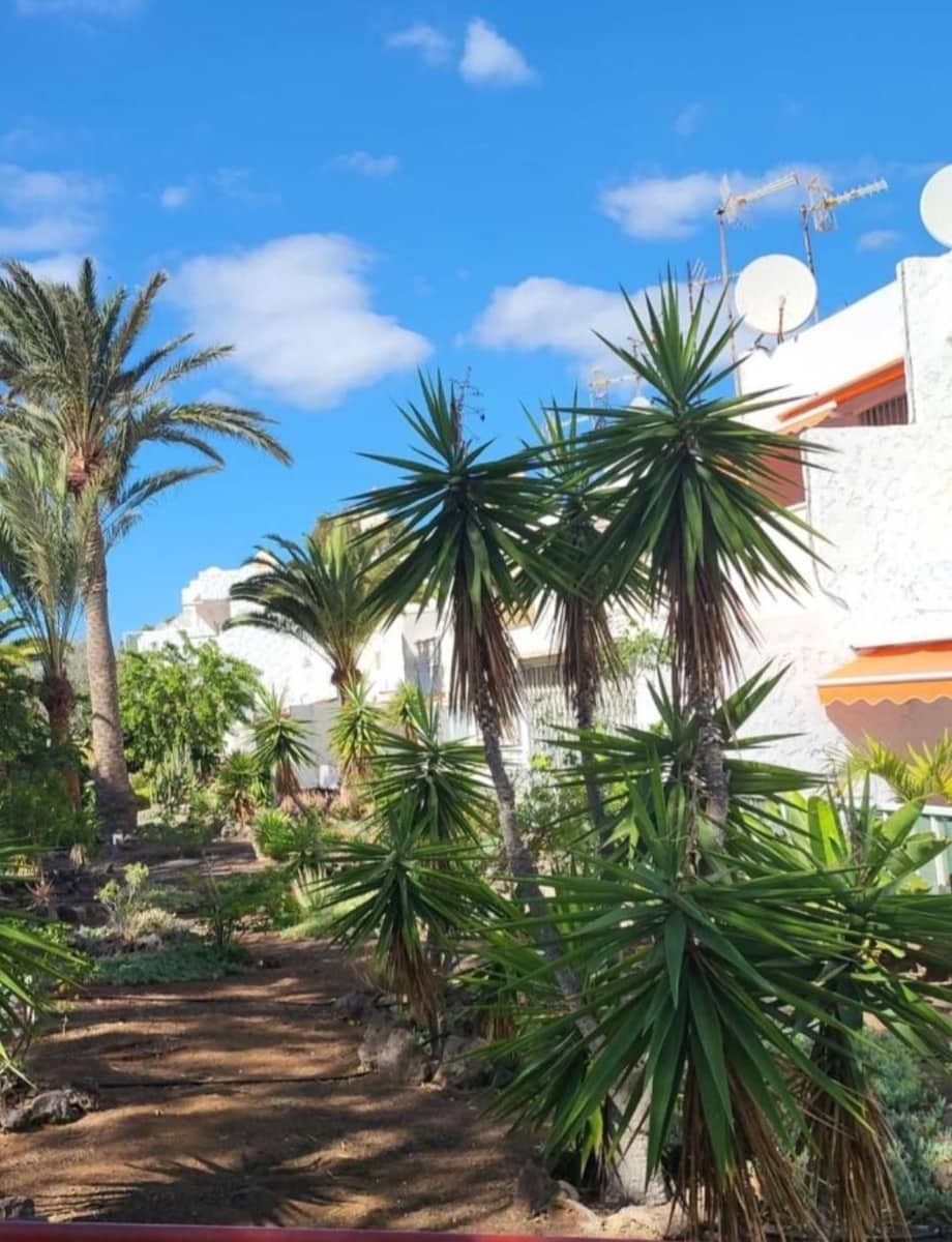 Studio à vendre à Costa del Silencio avec piscine - 159 000 € (Ref: 9889891)