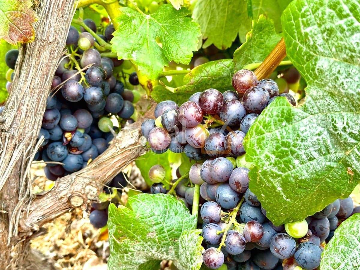 4 soveværelse Villa til salg i Guia de Isora med swimmingpool garage - € 740.000 (Ref: 8404708)