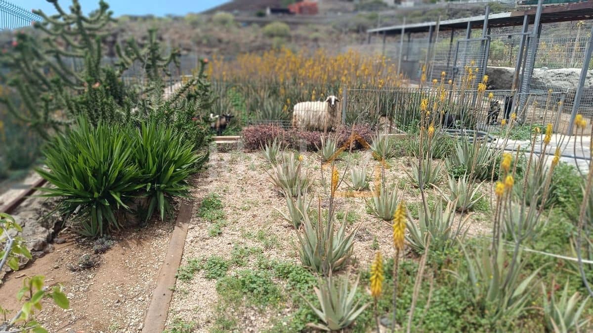 9 soverom Villa til salgs i Arona med svømmebasseng garasje - € 880 000 (Ref: 8942719)