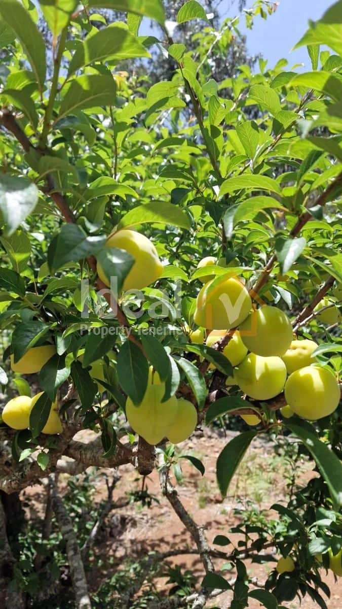 7 camera da letto Villa in vendita in Los Silos con garage - 650.000 € (Rif: 9643734)