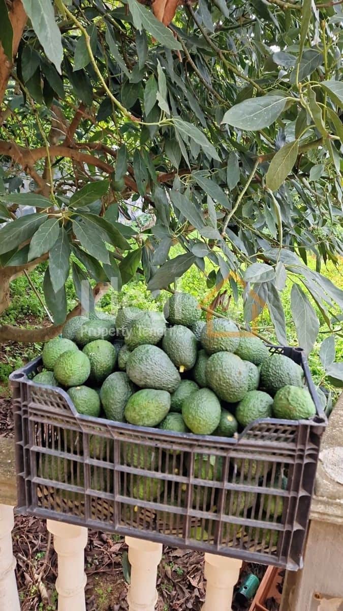 7 camera da letto Villa in vendita in Los Silos con garage - 650.000 € (Rif: 9643734)