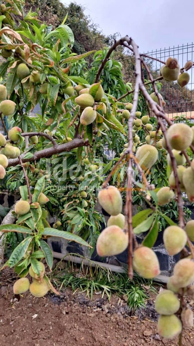 7 camera da letto Villa in vendita in Los Silos con garage - 650.000 € (Rif: 9643734)