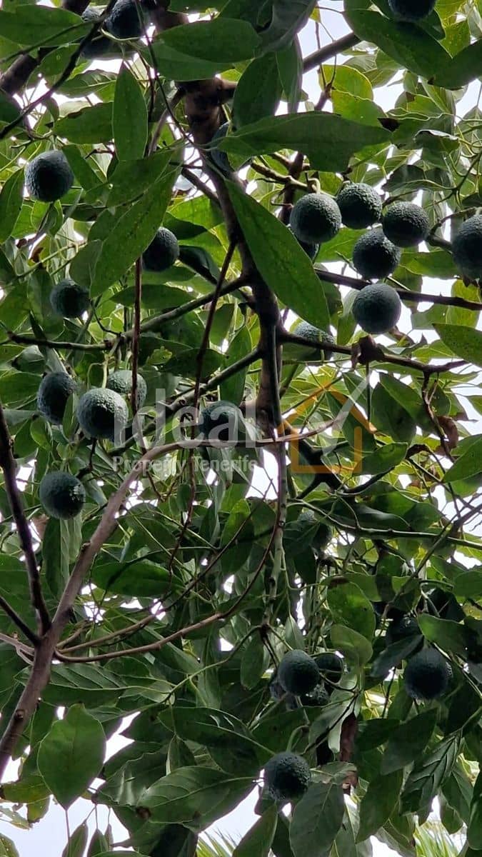 7 camera da letto Villa in vendita in Los Silos con garage - 650.000 € (Rif: 9643734)