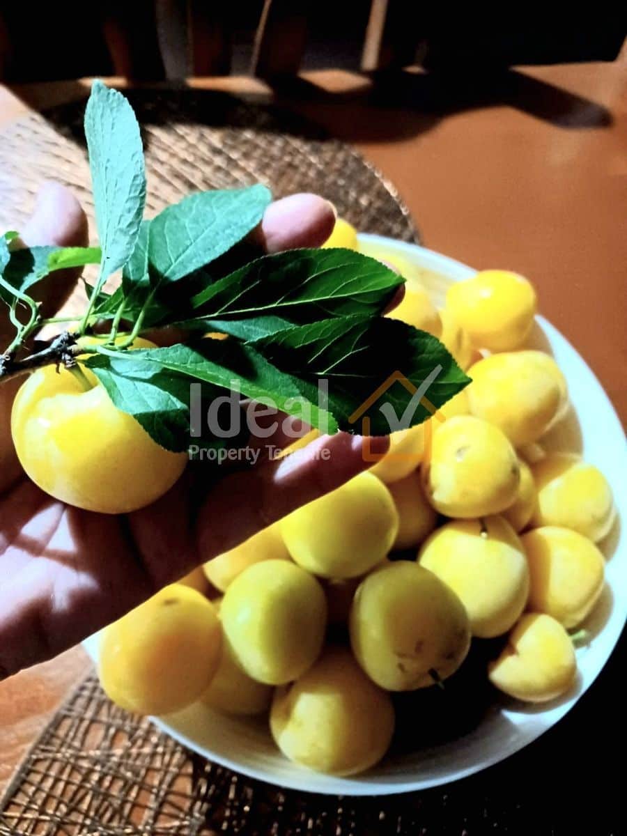 7 camera da letto Villa in vendita in Los Silos con garage - 650.000 € (Rif: 9643734)